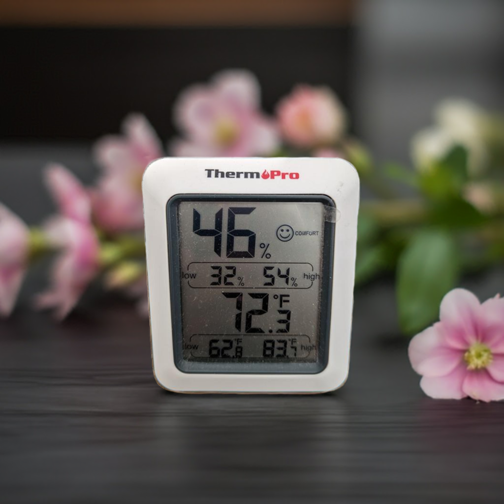 Digital Room Thermometer